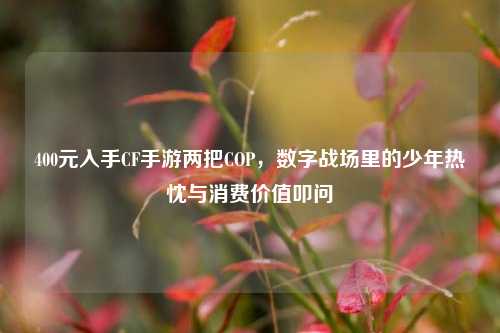 400元入手CF手游两把COP，数字战场里的少年热忱与消费价值叩问