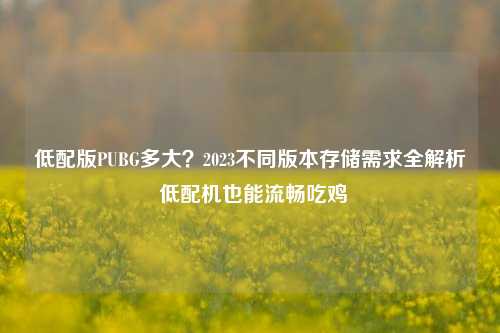 低配版PUBG多大？2023不同版本存储需求全解析 低配机也能流畅吃鸡