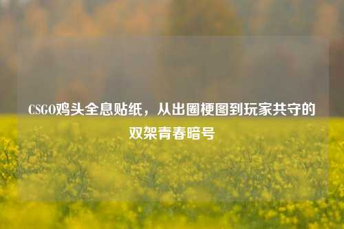 CSGO鸡头全息贴纸，从出圈梗图到玩家共守的双架青春暗号