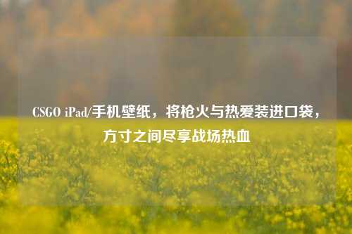 CSGO iPad/手机壁纸，将枪火与热爱装进口袋，方寸之间尽享战场热血