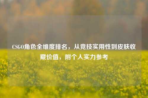 CSGO角色全维度排名，从竞技实用性到皮肤收藏价值，附个人实力参考