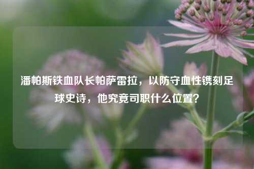 潘帕斯铁血队长帕萨雷拉，以防守血性镌刻足球史诗，他究竟司职什么位置？