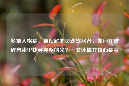 多重人格症，被误解的灵魂寄居者，如何在破碎自我里找寻完整的光？一文读懂其核心症状