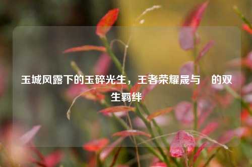 玉城风露下的玉碎光生，王者荣耀晟与暃的双生羁绊