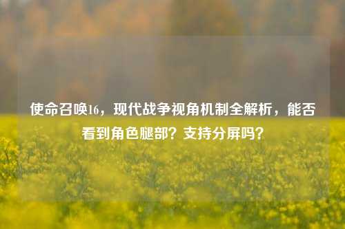 使命召唤16，现代战争视角机制全解析，能否看到角色腿部？支持分屏吗？