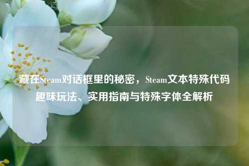 藏在Steam对话框里的秘密,Steam文本特殊代码趣味玩法、实用指南与特殊字体全解析