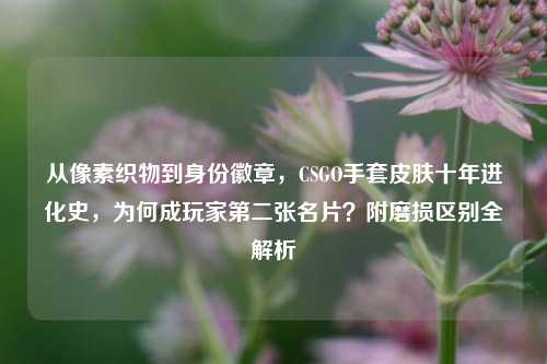 从像素织物到身份徽章,CSGO手套皮肤十年进化史,为何成玩家第二张名片?附磨损区别全解析