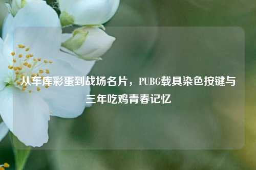 从车库彩蛋到战场名片,PUBG载具染色按键与三年吃鸡青春记忆