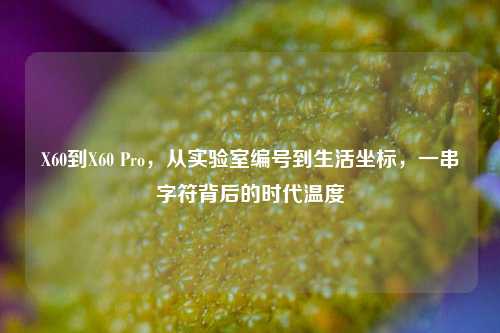 X60到X60 Pro，从实验室编号到生活坐标，一串字符背后的时代温度
