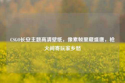 CSGO长安主题高清壁纸,像素帧里藏盛唐,枪火间寄玩家乡愁