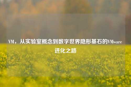 VM，从实验室概念到数字世界隐形基石的VMware进化之路