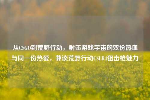 从CSGO到荒野行动，射击游戏宇宙的双份热血与同一份热爱，兼谈荒野行动CSLR4狙击枪魅力