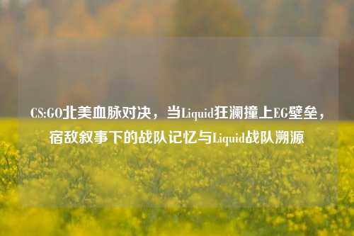 CS:GO北美血脉对决，当Liquid狂澜撞上EG壁垒，宿敌叙事下的战队记忆与Liquid战队溯源