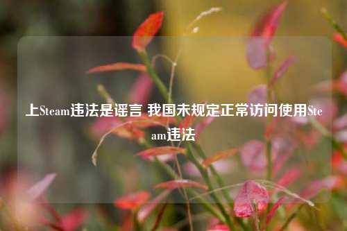 上Steam违法是谣言 我国未规定正常访问使用Steam违法
