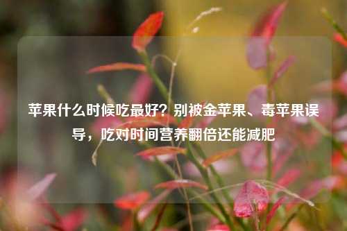 苹果什么时候吃最好？别被金苹果、毒苹果误导，吃对时间营养翻倍还能减肥