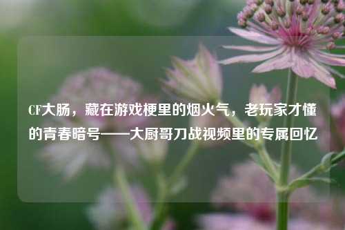 CF大肠，藏在游戏梗里的烟火气，老玩家才懂的青春暗号——大厨哥刀战视频里的专属回忆