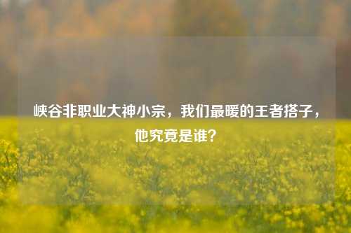 峡谷非职业大神小宗，我们最暖的王者搭子，他究竟是谁？