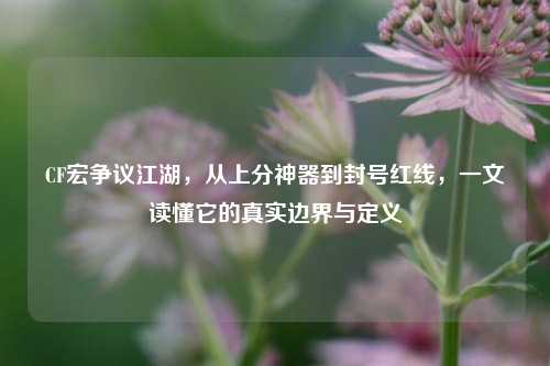 CF宏争议江湖，从上分神器到封号红线，一文读懂它的真实边界与定义