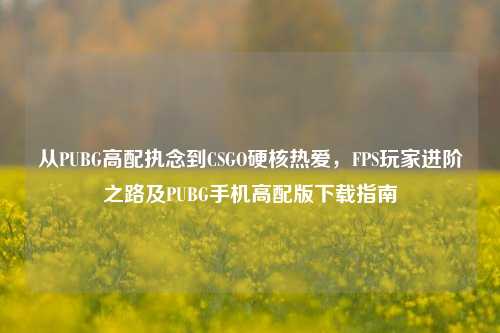 从PUBG高配执念到CSGO硬核热爱,FPS玩家进阶之路及PUBG手机高配版下载指南