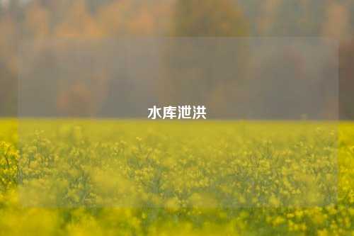 水库泄洪