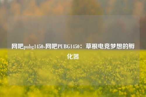 网吧pubg1450-网吧PUBG1450：草根电竞梦想的孵化器
