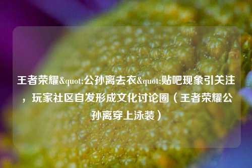 王者荣耀"公孙离去衣"贴吧现象引关注,玩家社区自发形成文化讨论圈(王者荣耀公孙离穿上泳装)