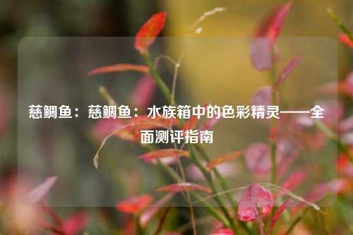 慈鲷鱼：慈鲷鱼：水族箱中的色彩精灵——全面测评指南