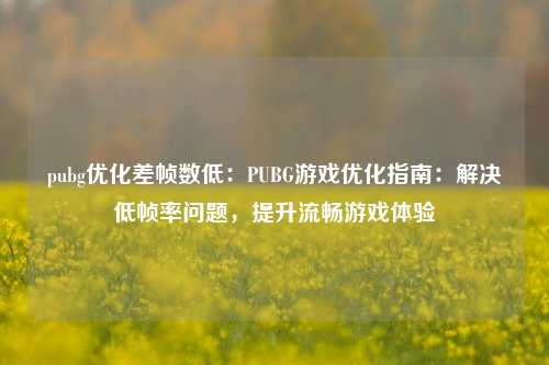 pubg优化差帧数低：PUBG游戏优化指南：解决低帧率问题，提升流畅游戏体验