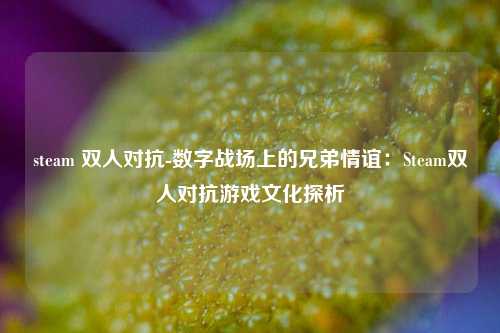 steam 双人对抗-数字战场上的兄弟情谊：Steam双人对抗游戏文化探析