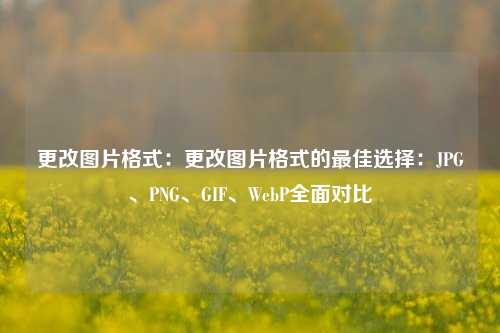 更改图片格式:更改图片格式的最佳选择:JPG、PNG、GIF、WebP全面对比