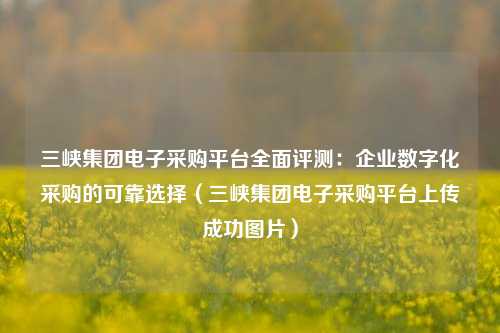 三峡集团电子采购平台全面评测:企业数字化采购的可靠选择(三峡集团电子采购平台上传成功图片)