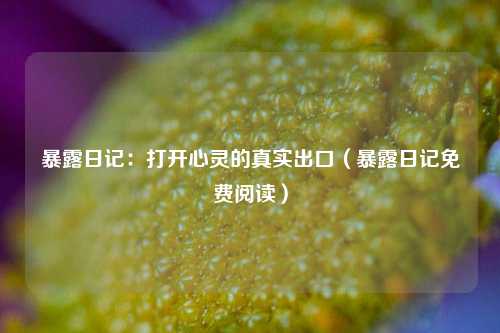 暴露日记：打开心灵的真实出口（暴露日记免费阅读）