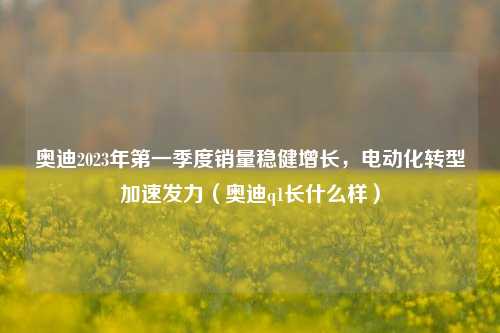 奥迪2023年第一季度销量稳健增长，电动化转型加速发力（奥迪q1长什么样）